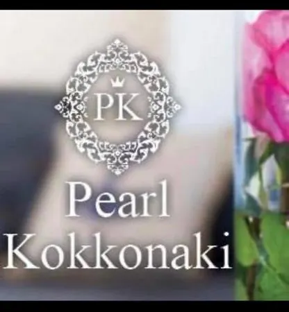 Pearl Kokkonaki Apartment Kokkónion